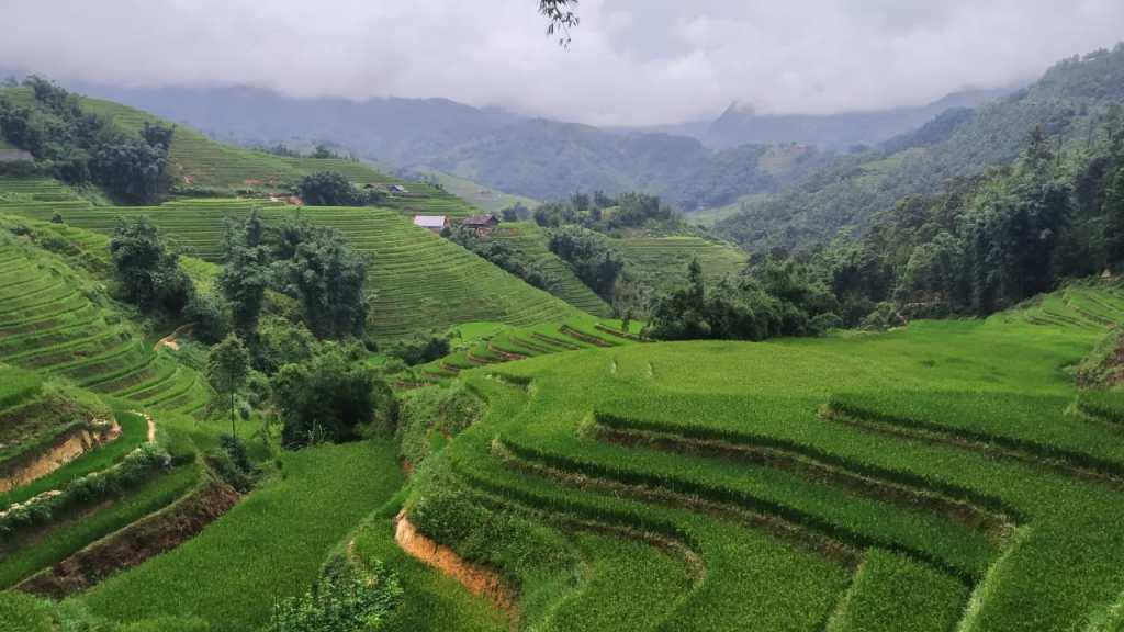 Vietnam